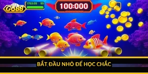 Bắt đầu nhỏ để học chắc