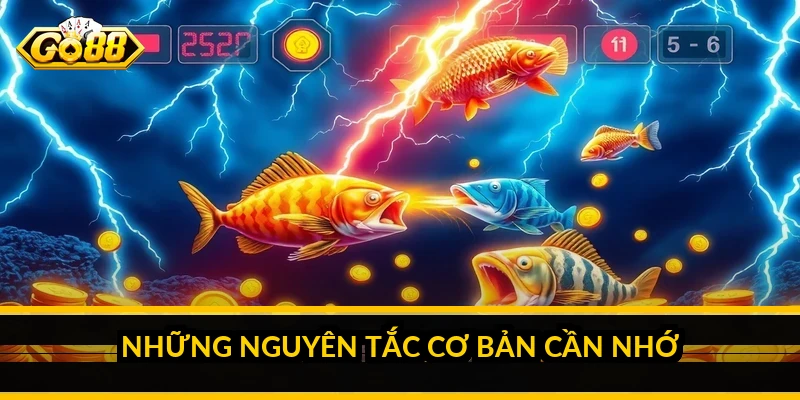 Mẹo chơi bắn cá cho người mới: chơi bền vốn từ ván đầu 3 Những nguyên tắc cơ bản cần nhớ