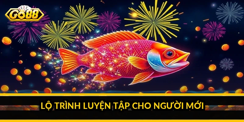 Mẹo chơi bắn cá cho người mới: chơi bền vốn từ ván đầu 5 Lộ trình luyện tập cho người mới